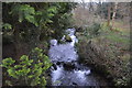 An unnamed tributary of the River Tavy in PL19 9JG