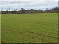 Farmland and trees, south of Little Fencote in DL7 9LS