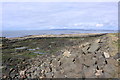 Rocky Coastline, Troon in KA10 6DG