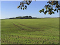 Farmland to the east of Southwoodhead in DG14 0YE