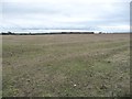 Farmland, north-west of Melton House in DL7 0SP