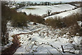 Path down Cockington valley in the snow in TQ2 7RF
