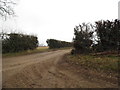 Muddy track off Rocklands Road, Shropham in Shropham