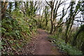 Diverted South West Coast Path in TQ1 4SG