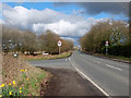 Junction of Grappenhall Lane and New Lane in WA4 4RA