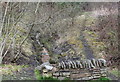 Stream above cycle track, Penallta Country Park in CF82 7GN