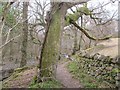 Footpath through Parc yr Ocar, Mynydd Llandegai in Llandygai Community