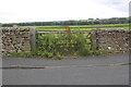 Field gateway on the south side of Brackenber Lane in BD24 0DD