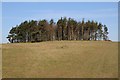 Trees on Waseley Hill in B61 0GQ