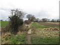 Footbridge on the path between Hundhill and High Ackworth in High Ackworth