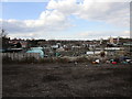 Allotments off Woodfield Road in DN4 8QQ