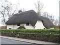 Sandy Lane thatch [5] in SN15 2PY