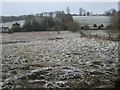 Wintry scene at Sarratt Bottom in WD3 6HD