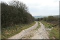 Bridleway to Winterbourne Abbas in DT2 9LT