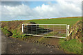 Gate by the lane to Pennycrocker in PL35 0BX