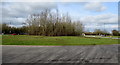 Trees on a large roundabout, Eastington in GL10 3SN