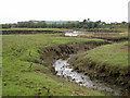 Tidal creek and the Annan estuary in DG12 5QJ