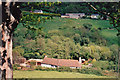 Branscombe: above Hole Mill in EX12 3BX