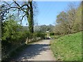 Path from Chadkirk Bridge in SK6 6HL