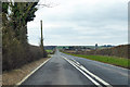 A354 towards Blandford in SP5 5QU