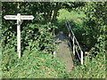 Footpath junction with bridge in IP13 9LS