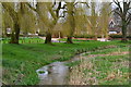 Stream on the green at Old Alresford in SO24 9DG