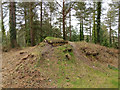WWII decoy control bunker, Gore Heath in BH20 7AP