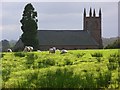 Sheep at St Mary's, Stapleton in CA6 6LF