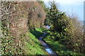 South West Coast Path (Bishop's Walk) in TQ1 2PJ