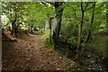 Footpath below Brook Farm, Longtown in Longtown