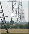 Electricity Pylons in Welham