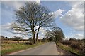 Trees beside Alvechurch Highway in B60 1NZ