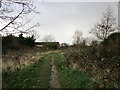 Footpath at Rostholme in DN5 0PB