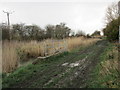 A muddy footpath at Rostholme in DN5 0PB
