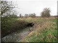 Culverted Goosepool Drain in DN5 0PB