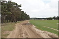 Track towards a pig field in IP12 3DW