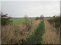Footpath to Adwick le Street in DN5 0PB