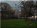 Cherry blossom and the County Ground in SN1 2PW
