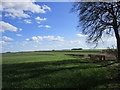 Wolds landscape near Pockthorpe in YO25 4LE