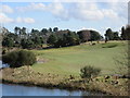 Ballumbie Castle 11th hole, Fykie Caur in DD4 0PJ