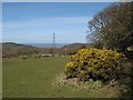 Field above Bryn-tywydd in LL22 9RD