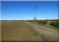 Eyeworth: farm track and electricity wires in SG19 2HH