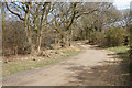 Track on Bromeswell Heath in IP12 2PS