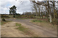 Track junction by Woodbridge Golf Club in IP12 2PS