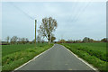 Lane to Paglesham Churchend in SS4 2DG