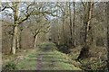 Path through Uffmoor Wood in B62 0NX