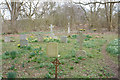 Springtime in the churchyard in Bromeswell