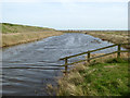 Borrow dyke, Wallasea Island in SS4 2HD