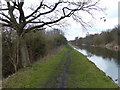 Heading north along the Rushall Canal in WS5 4DB