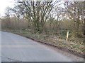 Lane passing Warren Bottom Copse in Basingstoke and Deane District (B)